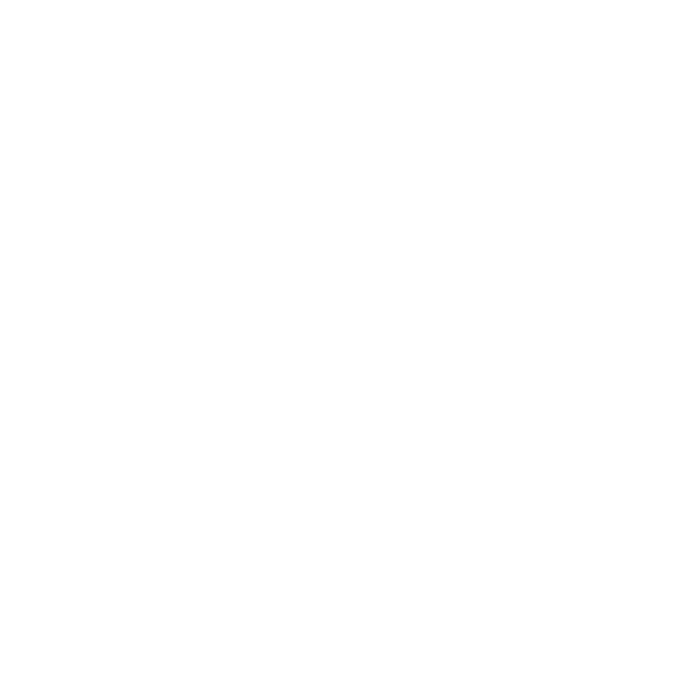Nathan Taylor & Friends Logo